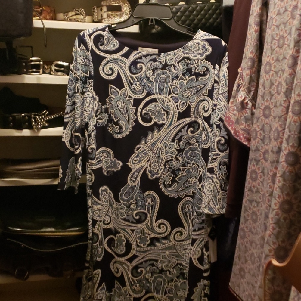 NWT Sandra Darren Shift Dress